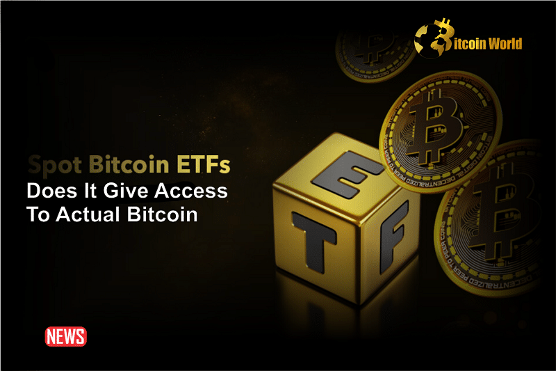 Bitcoin ETF Does Not Provide Access to Real Bitcoin – Keiser0