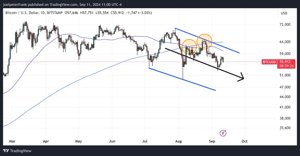 Bitcoin Price Drops Below $56,000 as US CPI Dashes 50bps Fed Rate Cut Expectations – Here's the Next Direction for BTC1