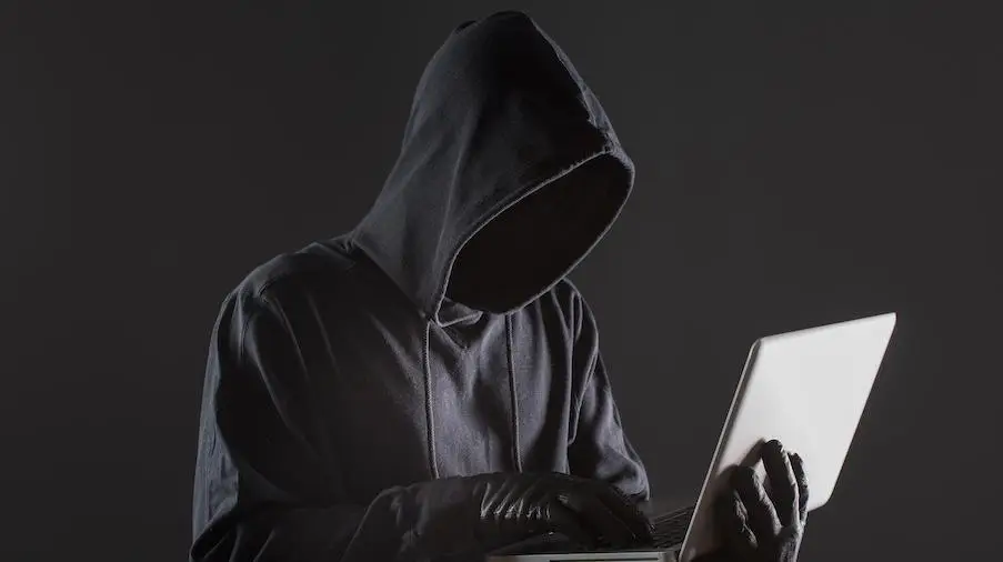 Cardano users are being attacked through fake Eternl wallets0