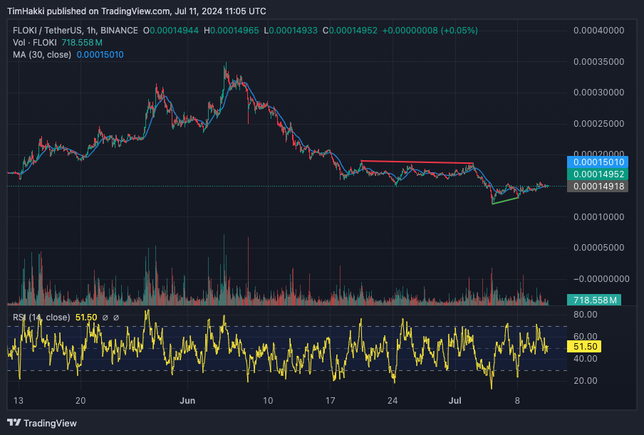 Floki in the Green: The Next Meme Coin to Keep an Eye On0