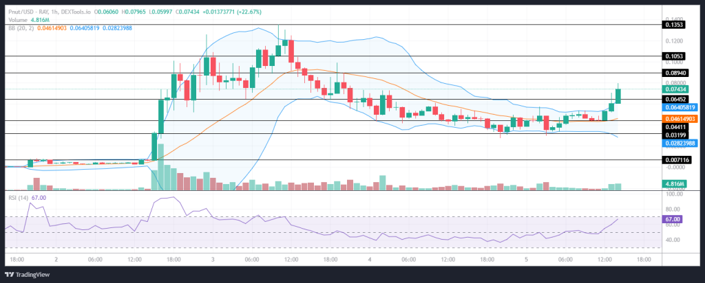 Peanut the Squirrel Drops 50% Following Huge Surge – Is This Coin the Safer Option?0