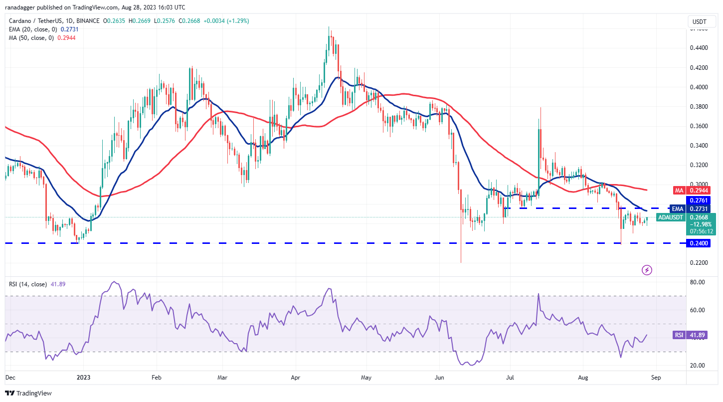 Price Review 8/28: SPX, DXY, BTC, ETH, BNB, XRP, ADA, DOGE, SOL, DOT7