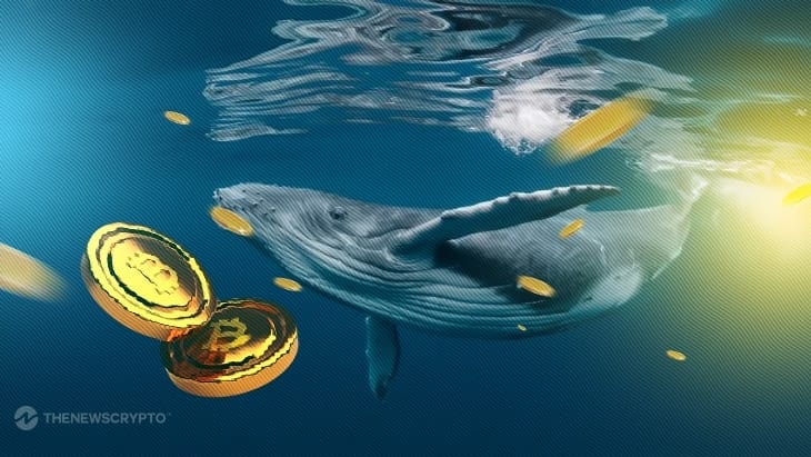 Whale Gathers $5M in ETH and DeFi Tokens – Is a Price Surge Ahead?0