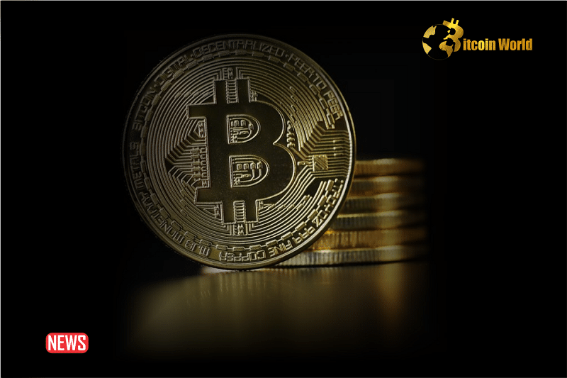 57% of Bitcoin (BTC) Remains Unchanged Over the Past Two Years0