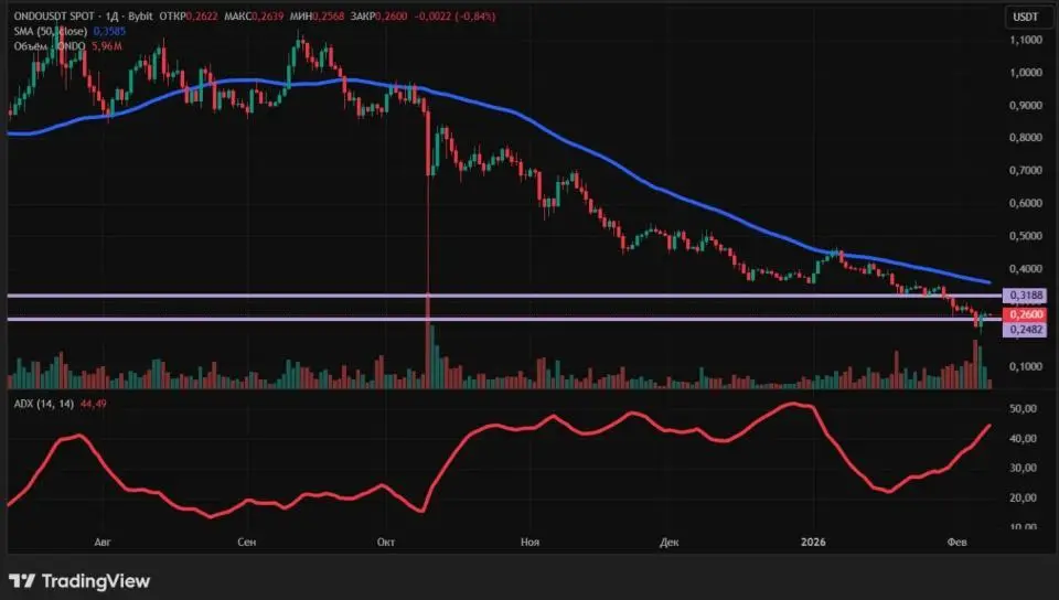 0902202601.jpg 0902202601.jpg1