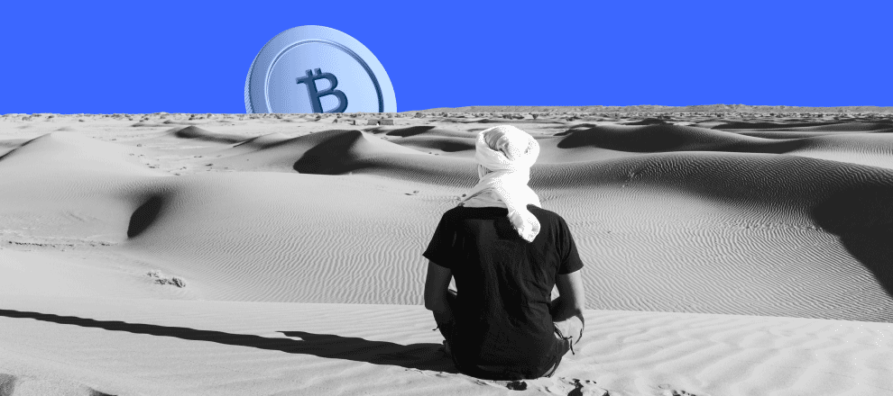 Algeria Enforces Complete Prohibition on Cryptocurrency Use0