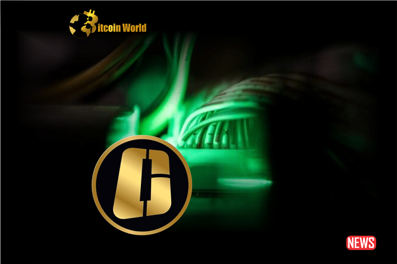 Attorney Associated with OneCoin Scam Refused New Trial Following Testimony of Witness Perjury0