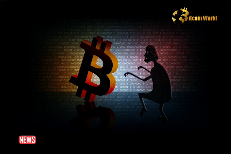 Be Aware: Cryptocurrency Fraudsters Are Expected to Utilize More Persuasive AI Scams in 20240