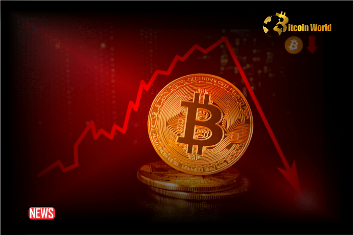 Bitcoin (BTC) Price Declines to $66K as Bearish Momentum Increases, Is $64K Next?0