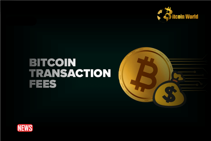 Bitcoin (BTC) Transaction Costs Rise Following Halving, Leading to Increased Interest in Alternatives0