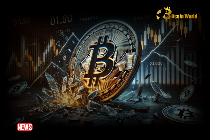 Bitcoin Decline Erases 18% Of Profitable Investors Within A Day0