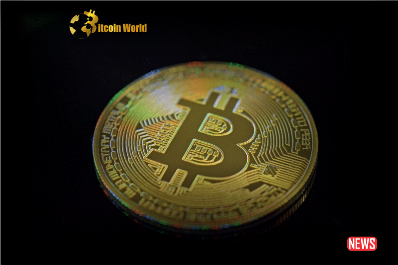 Bitcoin Experiences Volatility: Drops to $26,000 Amid Regulatory Oversight and NFT Enthusiasm0