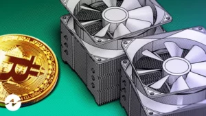Bitcoin Mining Company Bitfarms Reaches Record High Hashrate0