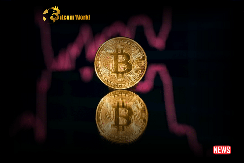 Bitcoin Price Adjustment: Examining Crucial Support and Resistance Points0