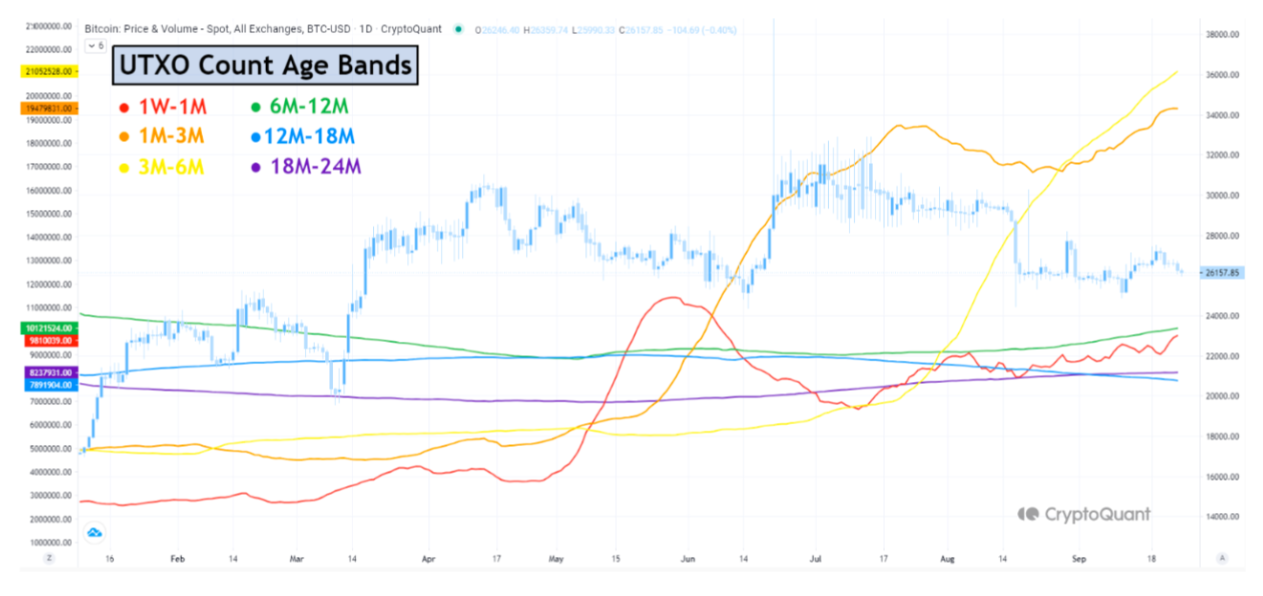 Bitcoin trading volume reaches five-year lows as the Federal Reserve encourages BTC holding.1