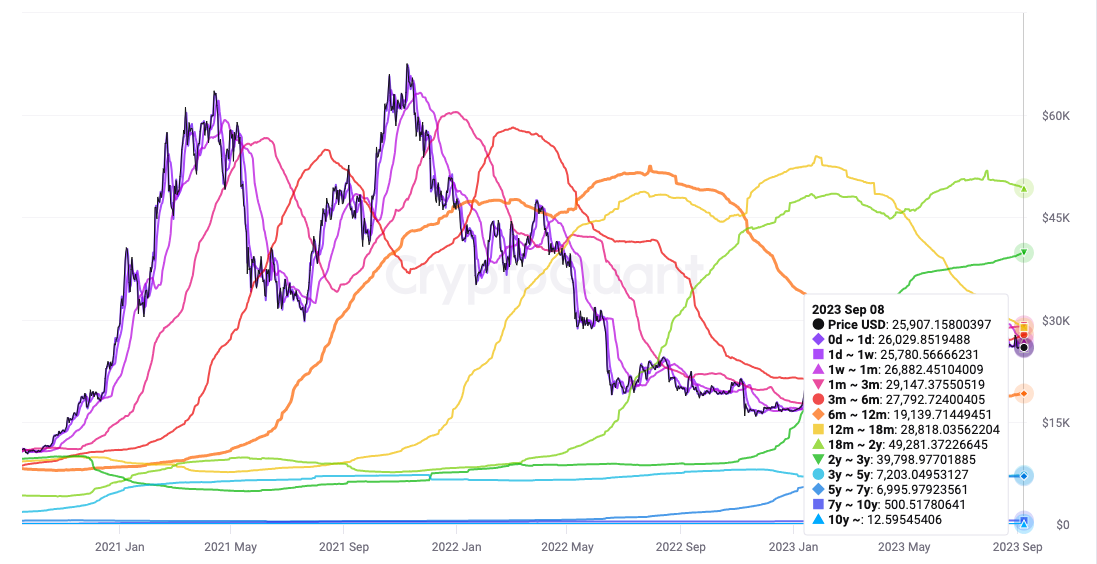 Bitcoin UTXOs reflect March 2020 'black swan' market downturn — Recent study1