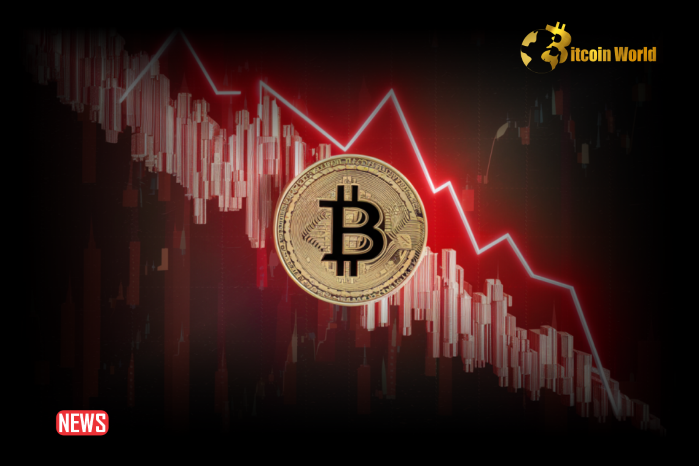 Bitcoin Value Dropped Below $50,0000