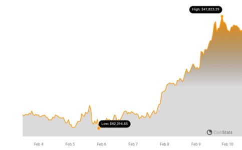 Bitcoin Value Exceeded $47,000: Here Are Three Main Factors1