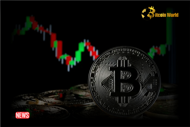 Bitcoin Value Exceeded $47,000: Here Are Three Main Factors0