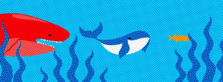 Bitcoin Whales and Other Inhabitants of the Cryptocurrency Sphere2