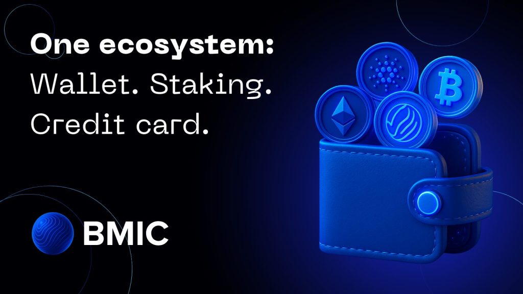 BMIC Resembles Bitcoin Prior to the Emergence of Security as a Key Topic0