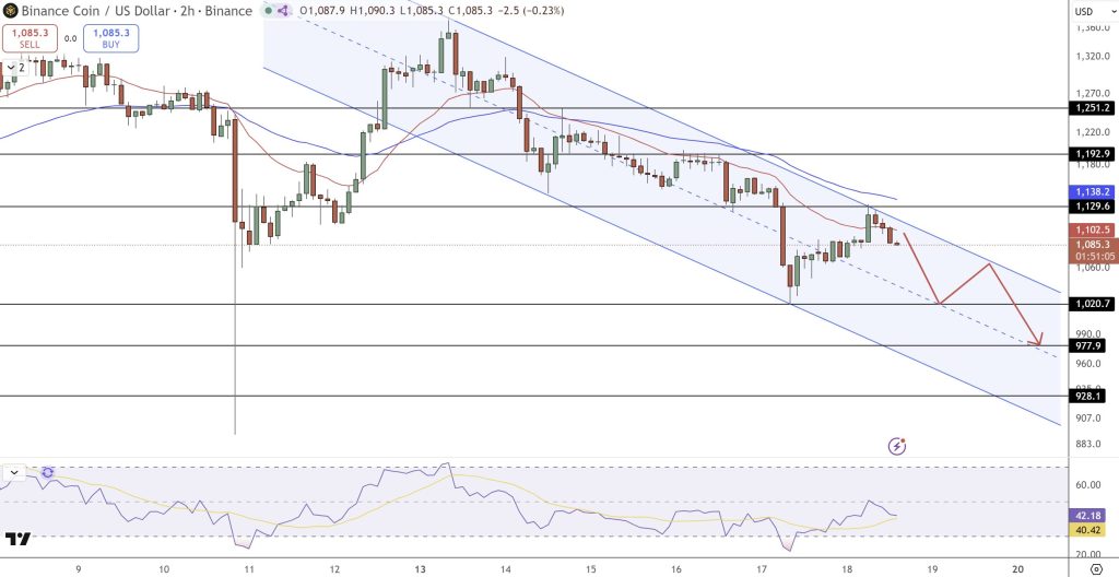 BNB Weekly Performance Analysis: Implications for the Altcoin Market Moving Forward2