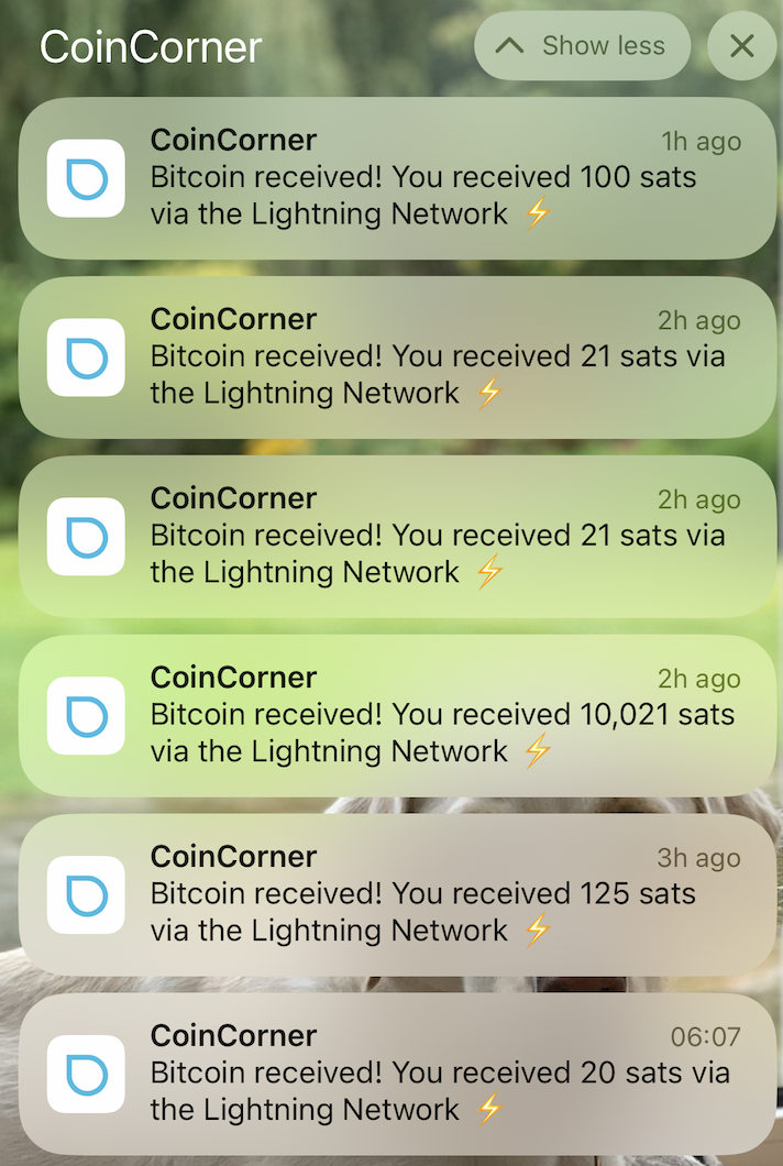 Brian Armstrong assured me $100 in Bitcoin — so where is it?0