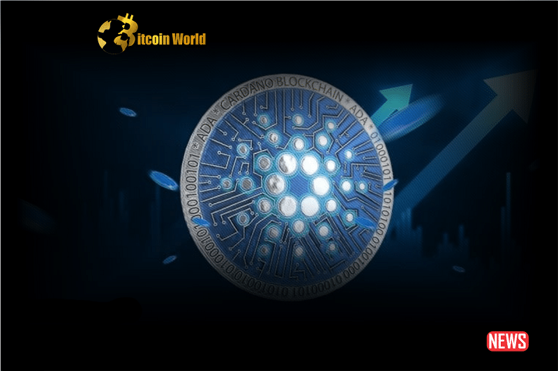 Cardano's On-Chain Activity Soars by 1,700%: Factors Behind the ADA Increase?0