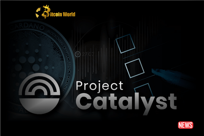 Cardano's Project Catalyst: A Source of Innovation and Development0