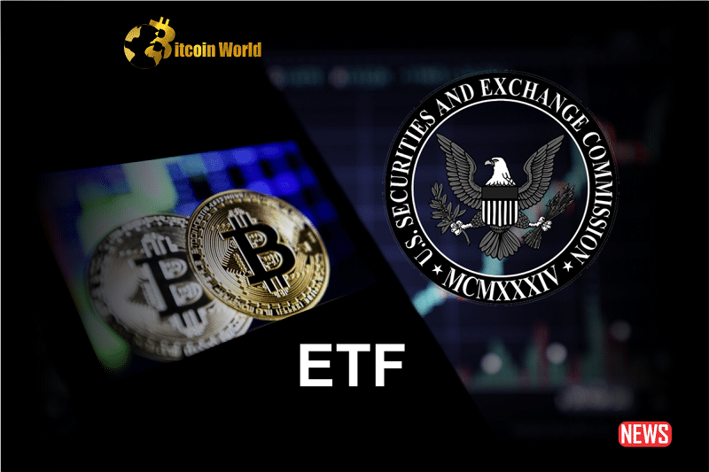 Court Ruling Alters Bitcoin ETF Landscape During SEC Confrontation0