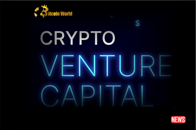 Crypto Investment Firms Secure More Than $350 Million in Capital0