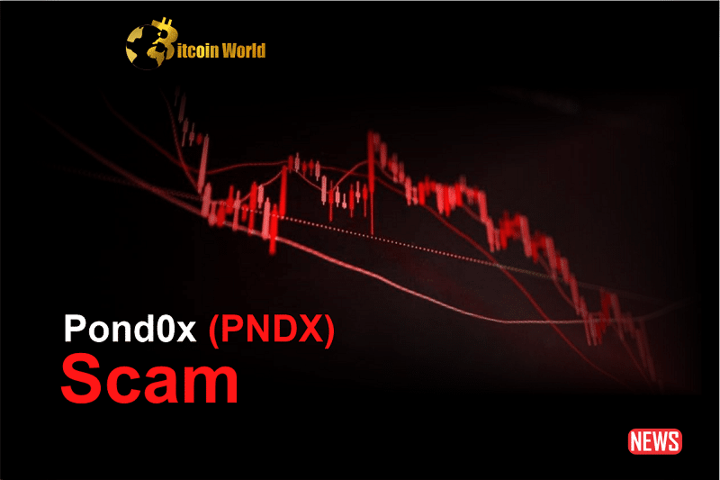 Cryptocurrency Community Affected by PNDX Scam: Well-Known Crypto Influencer Pauly Charged with Fraud0
