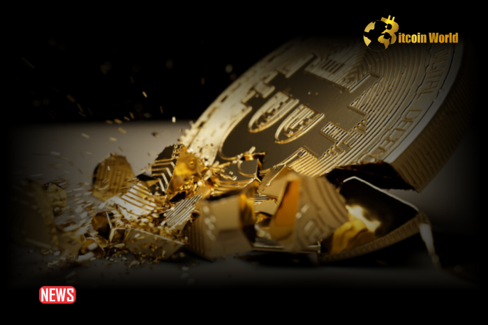 Cryptocurrency Shares Fall as Bitcoin Drops Under $50K, Leading to a $270B Decrease in Market Capitalization0