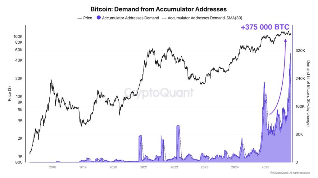 Data Indicates Bitcoin Investors Committing Fully at Unprecedented Rate0