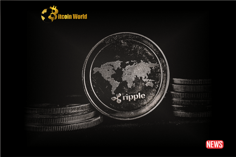 EGRAG's Perspective on the "Steel Foundation" and the $2 Target for XRP's Upcoming Surge0