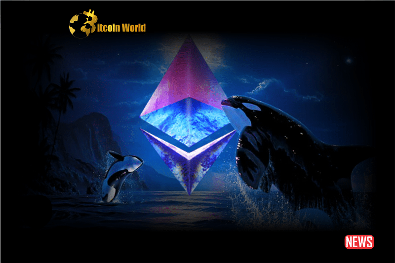 Ethereum Whales Participate in $425 Million Acquisition, Indicating Positive Sentiment0