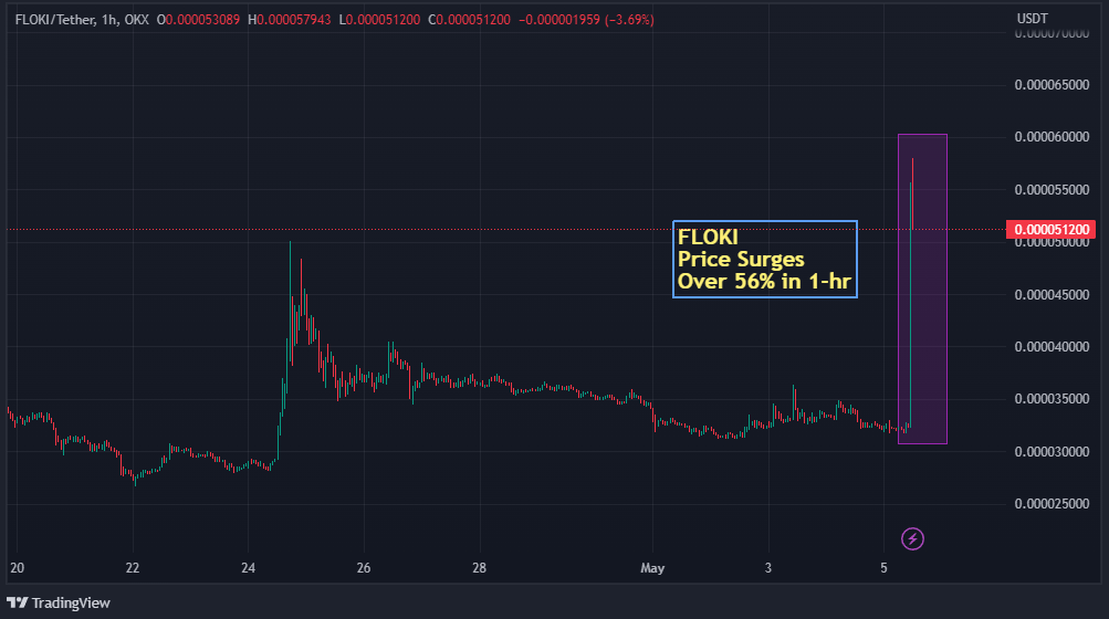 Floki Rockets Surges 55% Within an Hour Following Binance Listing Announcement2