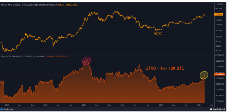 Increase in Bitcoin Whale Addresses After Spot ETF Authorization: CryptoQuant0