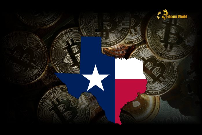 Innovative Texas Bitcoin Transaction: A Bold Step Towards State Cryptocurrency Holdings0