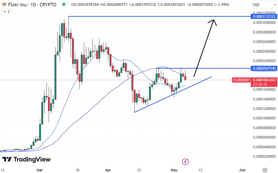 Is Floki Heading Towards Zero? FLOKI Value Decreases by 0.8%, Investors Turn to This New GambleFi Token1