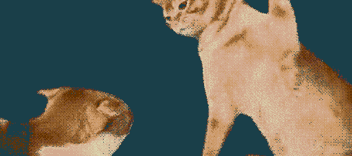 Kraken Alleges Extortion and Theft of $3 Million by CertiK's White Hat Hackers0