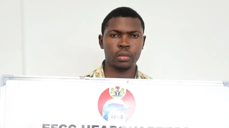 Law enforcement officers detained the creator of the Polyfarm pyramid Law enforcement officers detained the creator of the Polyfarm pyramid0