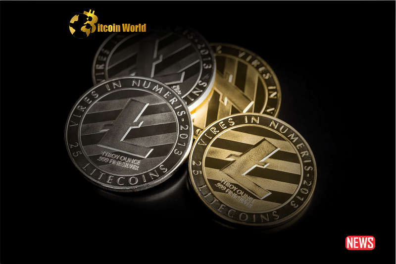 Litecoin: Is Another Significant Increase Imminent?0