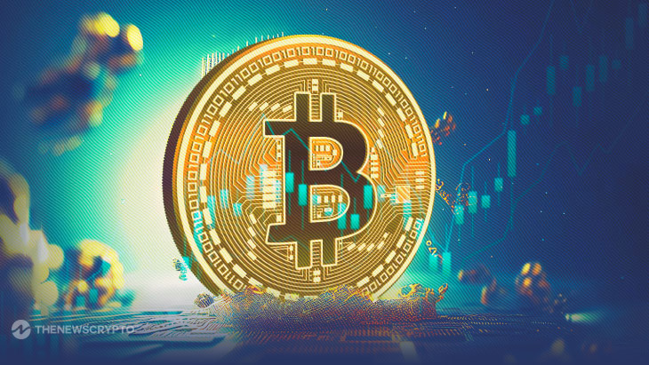 Long-Term Bitcoin Investors Hit Record Levels During Period of Low Volatility0