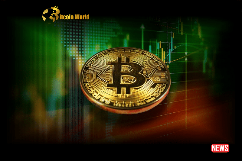 Major Bitcoin Investors Increasing Accumulation Rates, Litecoin's Pre-Halving Surge Generates FOMO0