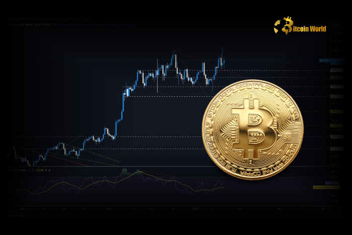 March Forecast: Will Bitcoin Experience a $108K Increase or a Significant Decline?0