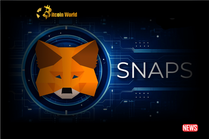 MetaMask Introduces Snaps Functionality in Open Beta, Enhancing Web3 Environment0