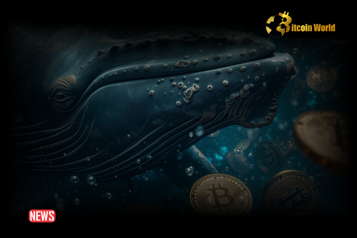 Old Bitcoin Wallets Reactivate After Over 11 Years of Inactivity0