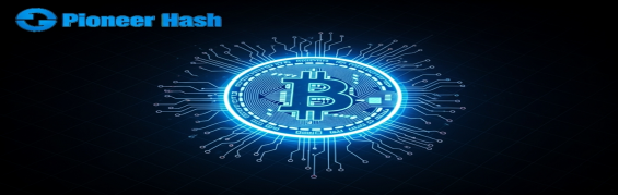 Pioneer Hash Introduces a $15 Registration Incentive, Triggering Increased Interest in Cloud Mining0