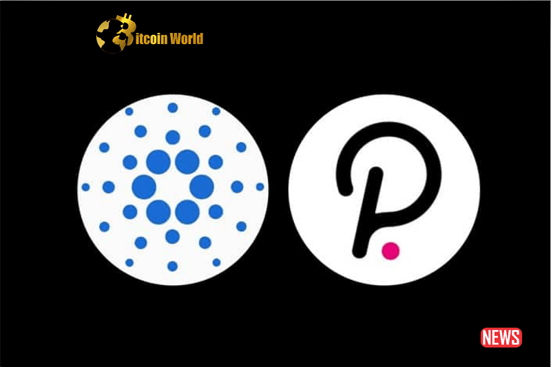 Polkadot and Cardano Top Development Efforts, Yet Price Movements Differ0